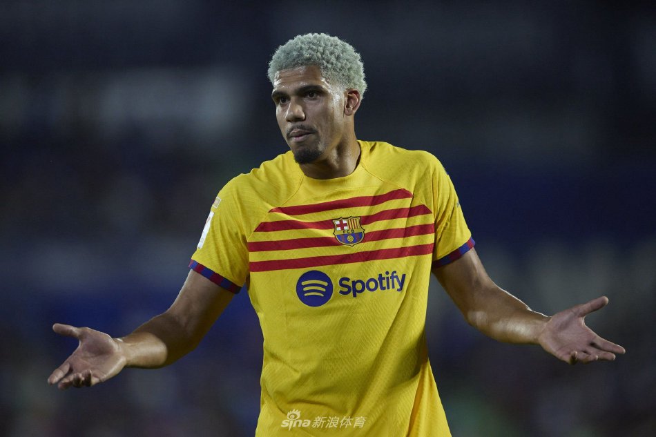 保护篮板的 保护篮板的